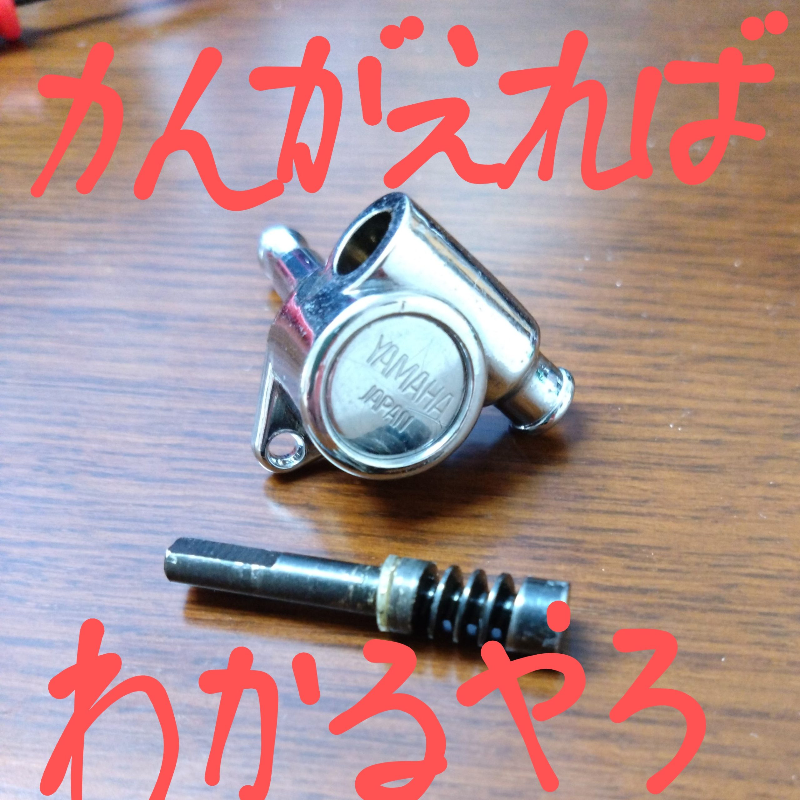 ギターの弦を替えるだけのはずがペグの分解修理をするはめになった話